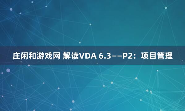 庄闲和游戏网 解读VDA 6.3——P2：项目管理