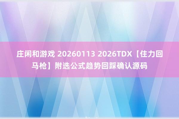 庄闲和游戏 20260113 2026TDX【住力回马枪】附选公式趋势回踩确认源码