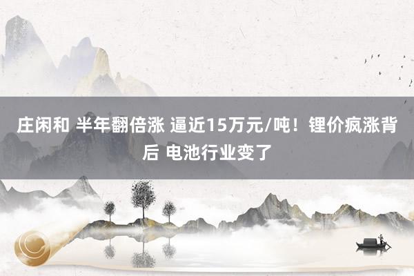 庄闲和 半年翻倍涨 逼近15万元/吨！锂价疯涨背后 电池行业变了