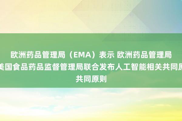欧洲药品管理局（EMA）表示 欧洲药品管理局与美国食品药品监督管理局联合发布人工智能相关共同原则