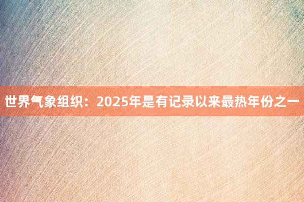 世界气象组织：2025年是有记录以来最热年份之一