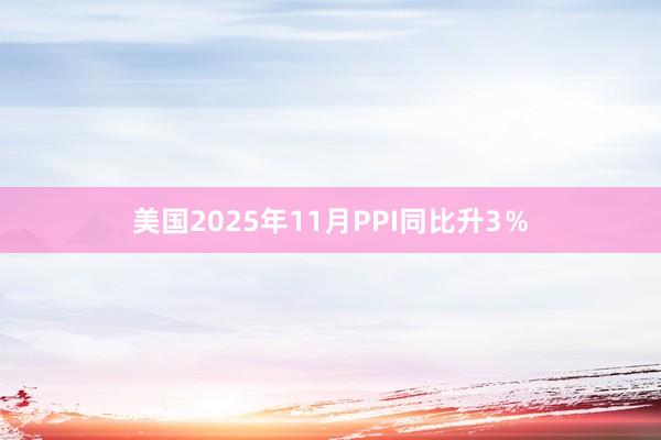 美国2025年11月PPI同比升3％