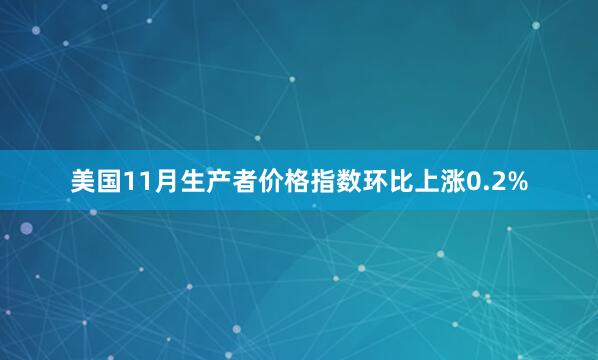 美国11月生产者价格指数环比上涨0.2%
