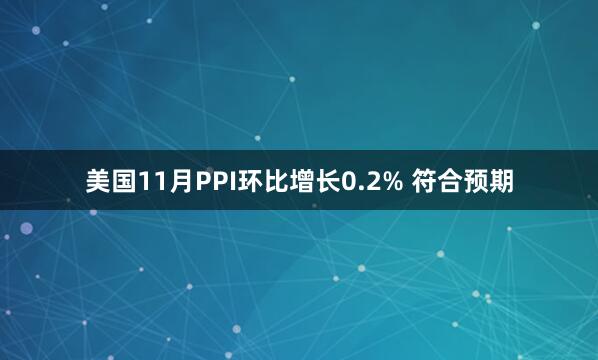 美国11月PPI环比增长0.2% 符合预期