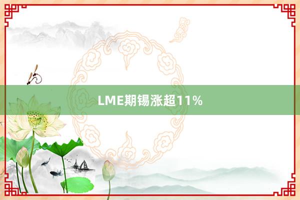 LME期锡涨超11%