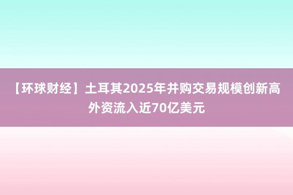 【环球财经】土耳其2025年并购交易规模创新高 外资流入近70亿美元