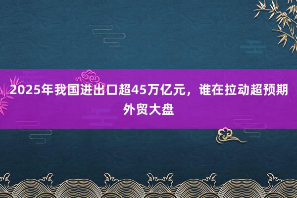 2025年我国进出口超45万亿元，谁在拉动超预期外贸大盘