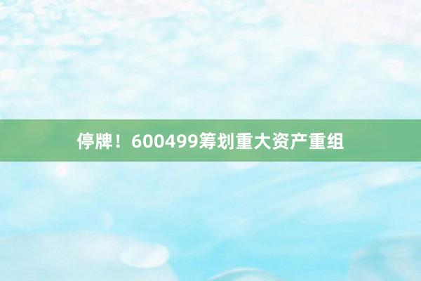 停牌！600499筹划重大资产重组