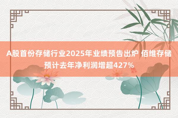 A股首份存储行业2025年业绩预告出炉 佰维存储预计去年净利润增超427%