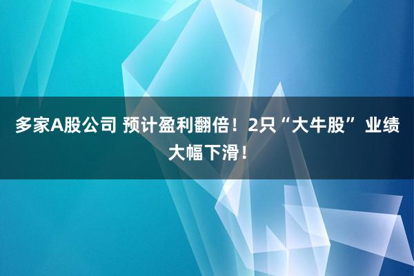 多家A股公司 预计盈利翻倍！2只“大牛股” 业绩大幅下滑！