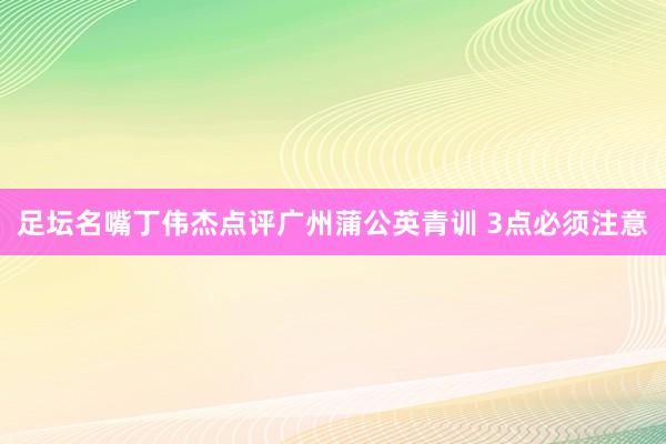 足坛名嘴丁伟杰点评广州蒲公英青训 3点必须注意