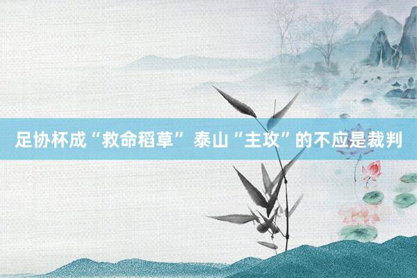 足协杯成“救命稻草” 泰山“主攻”的不应是裁判