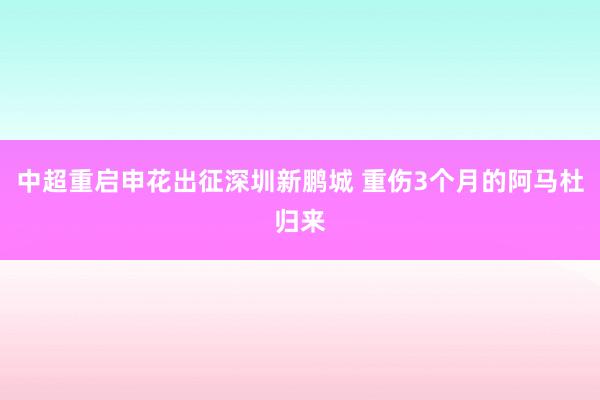 中超重启申花出征深圳新鹏城 重伤3个月的阿马杜归来