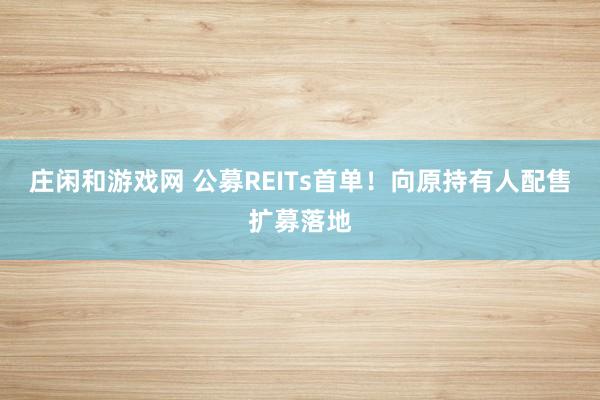 庄闲和游戏网 公募REITs首单！向原持有人配售扩募落地