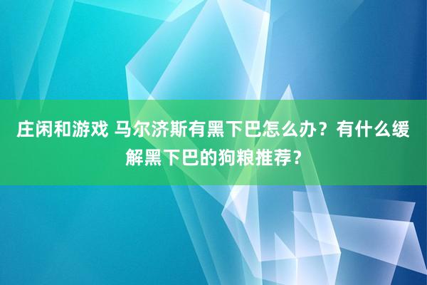 庄闲和游戏 马尔济斯有黑下巴怎么办?有什么缓解黑下巴的狗粮推荐?