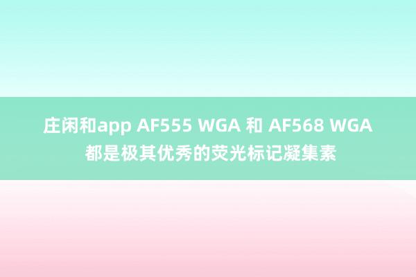庄闲和app AF555 WGA 和 AF568 WGA 都是极其优秀的荧光标记凝集素