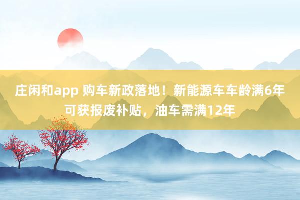 庄闲和app 购车新政落地!新能源车车龄满6年可获报废补贴,油车需满12年