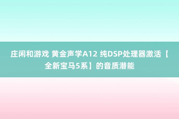 庄闲和游戏 黄金声学A12 纯DSP处理器激活【全新宝马5系】的音质潜能