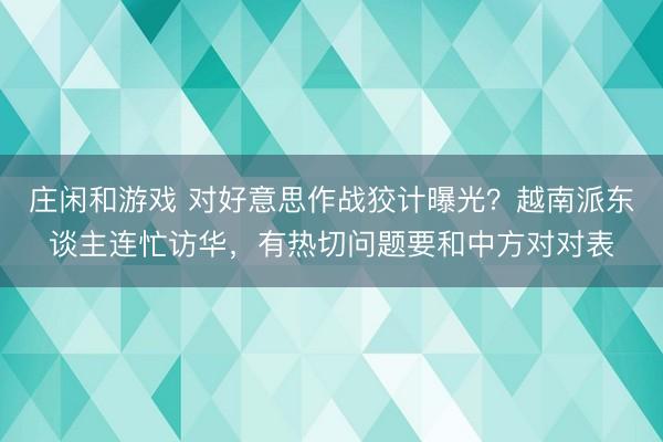 庄闲和游戏 对好意思作战狡计曝光？越南派东谈主连忙访华，有热切问题要和中方对对表