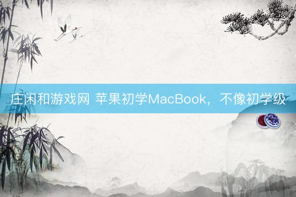 庄闲和游戏网 苹果初学MacBook,不像初学级