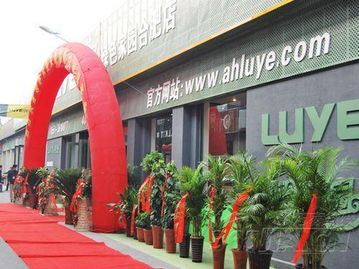 绿野绿色家园安徽旗舰店盛大开业，引领绿色建材新风尚