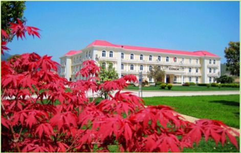 做绿色发展的先行者——安徽铜陵海螺水泥发展纪实